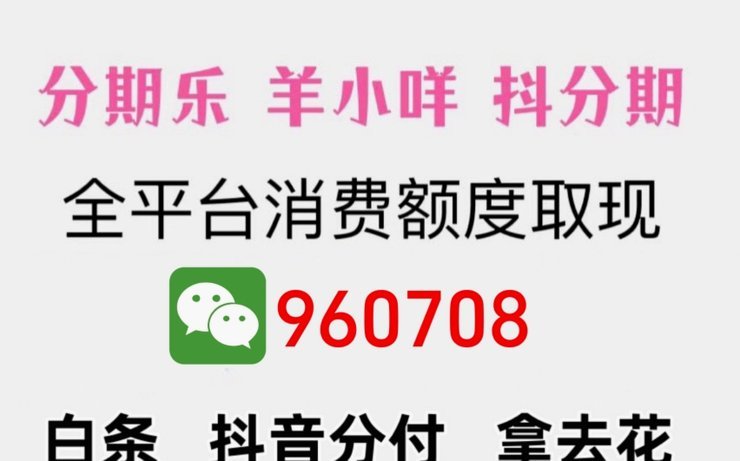 荔枝种植投资新策略：羊小咩便荔卡包套现方法