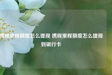 携程拿去花额度怎么提现到银行卡