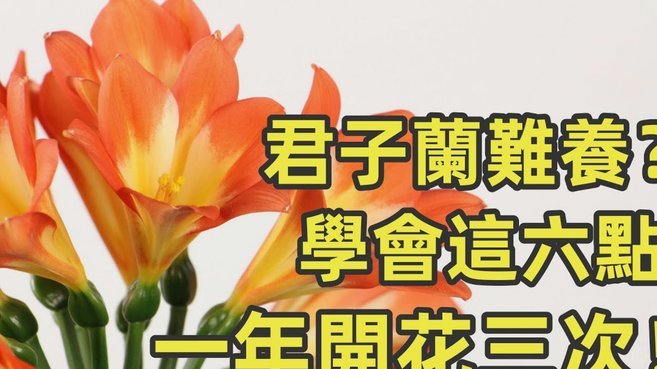分付技巧：商家如何套牢顾客