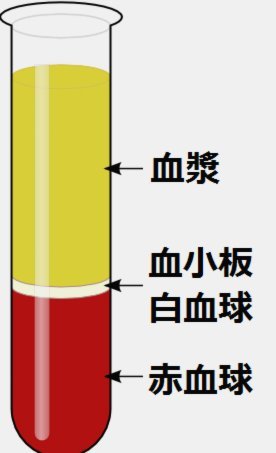 白条带血背后的原因解析