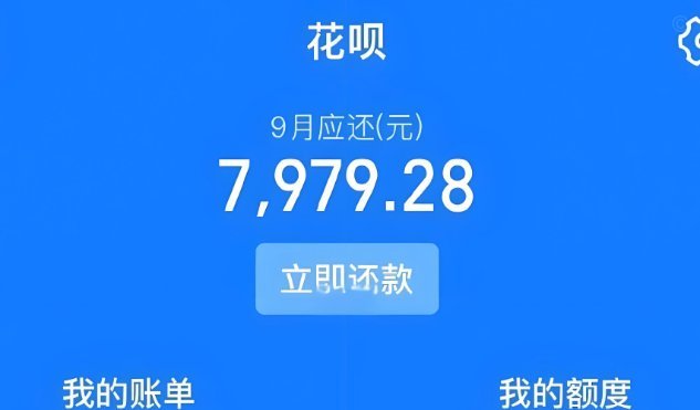 怎么套用花呗的钱