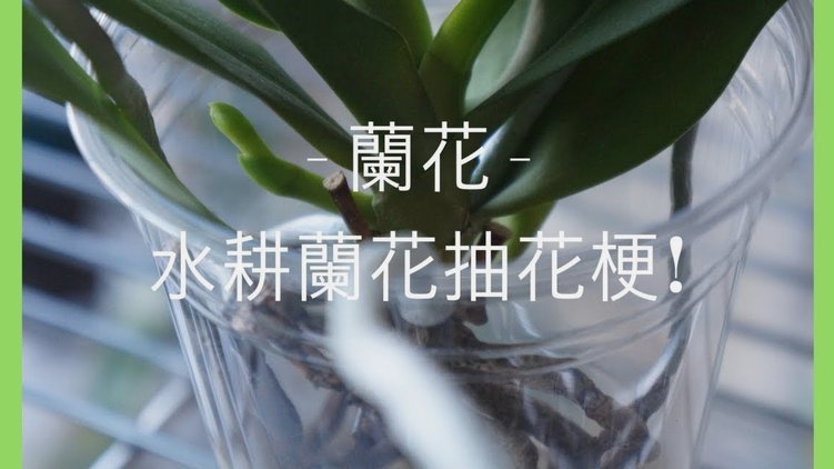 套现花呗需要手续费吗现在