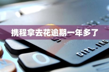 携程拿去花提现方法