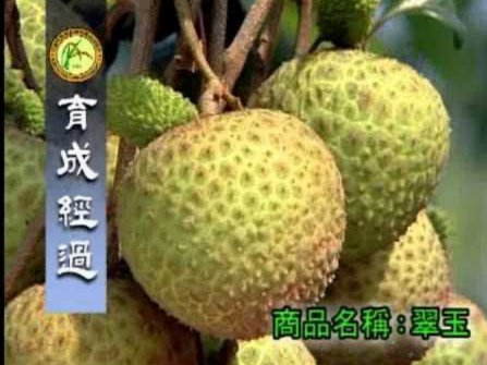 便荔卡包取现多久到账？