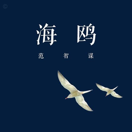 海鸥花呗平台的风险与真相揭露