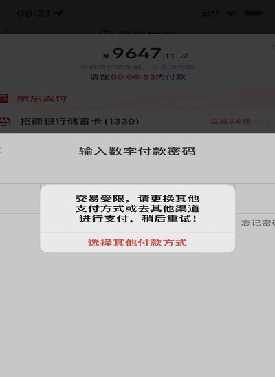 白条加油包有额度但是不能用