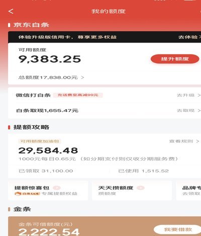 白条加油包有额度但是不能用