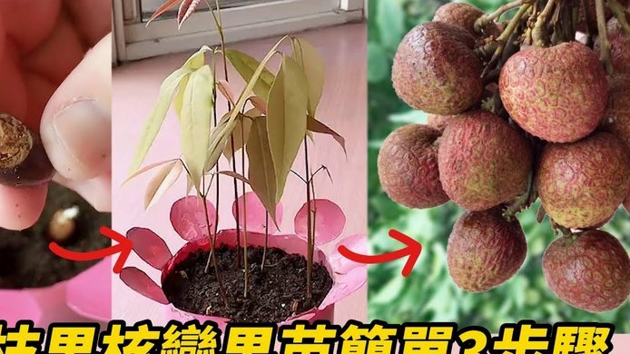 便荔卡额度怎么回收