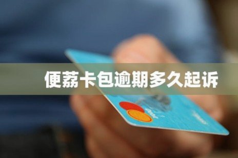 媲美便携卡包的替代平台