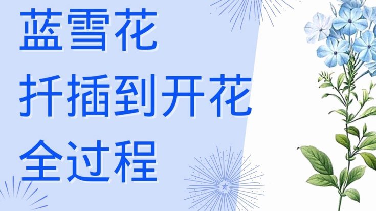 携程拿去花取现容易吗？