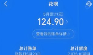 套花呗是什么意思