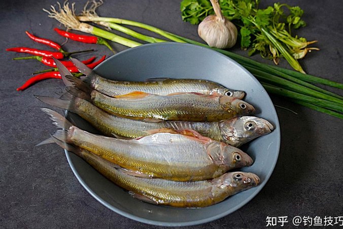 白条套现背后的秘密：企业融资的灰色地带与风险全解析