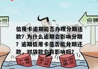 分期乐套现金