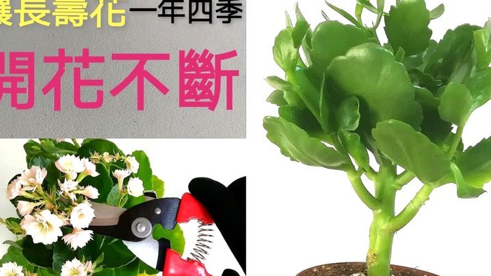 携程拿去花如何安全套现