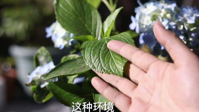 携程拿去花怎样套现