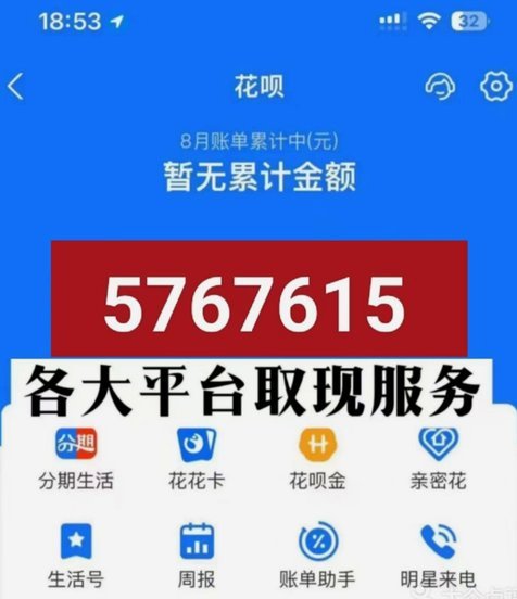 白条变现指南：轻松获得现金