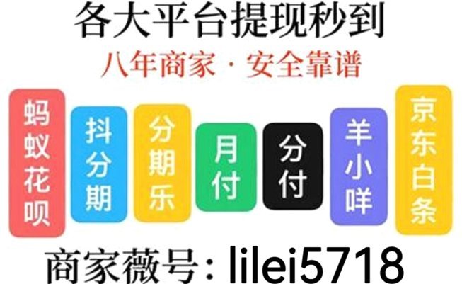 白条额度怎么支付