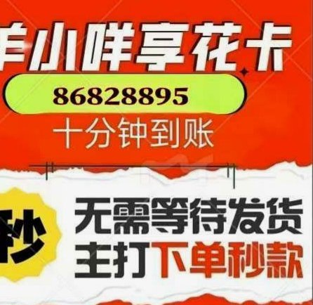 羊小咩购物额度怎么还款