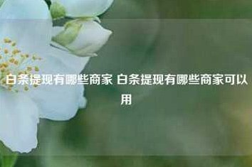 白条加油包有额度但是不能用了