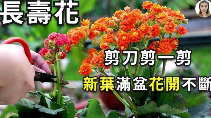拿去花的套现之道
