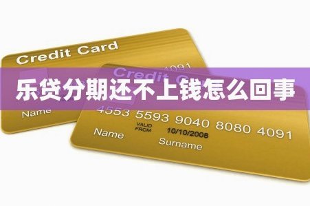 分期乐：年轻人的消费新选择与挑战