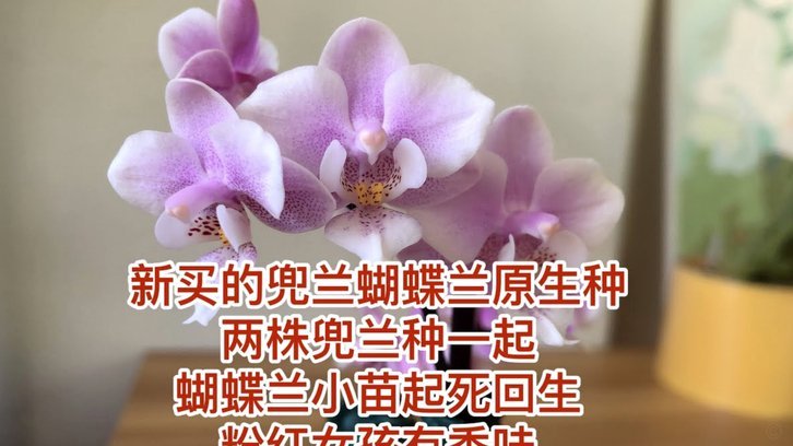 携程拿去花怎么套出来 平台的钱