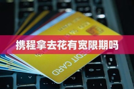 携程旅行拿去花提现申请多久