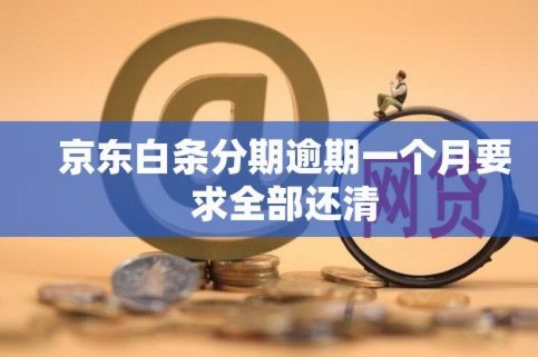 白条逾期如何有效协商延期还款方案