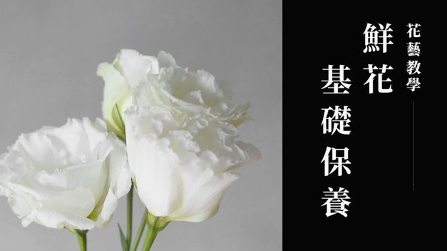 如何套出花呗的钱