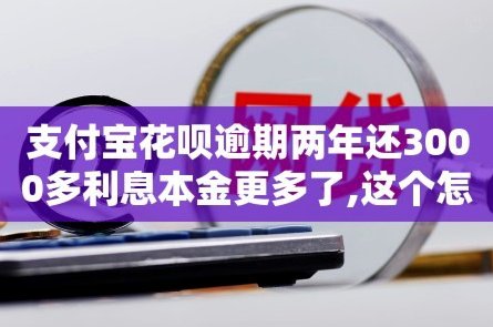 花呗套了300严重么