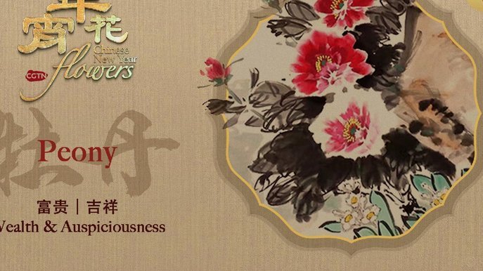 花呗分期套现平台怎么样