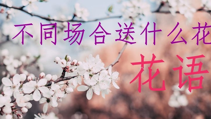 花呗二维码收款提现全攻略：流程、时效与注意事项