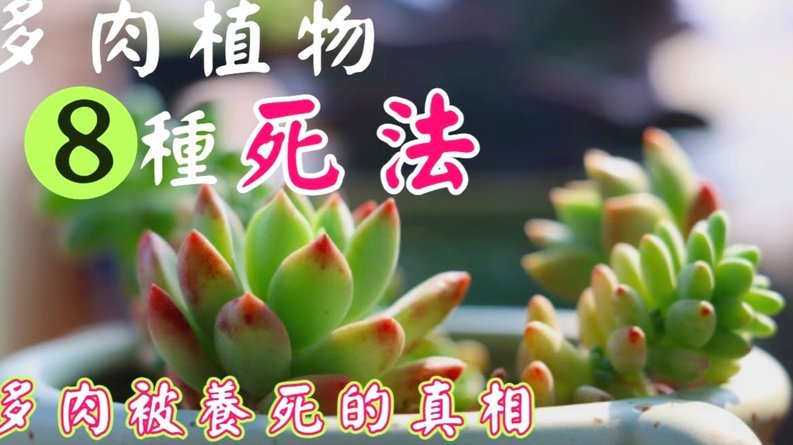 携程拿去花秒到 平台怎么提现