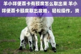 羊小咩额度套出来