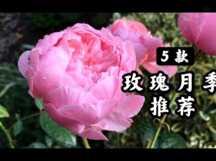 花呗钱能不能提出来用？实现攻略！