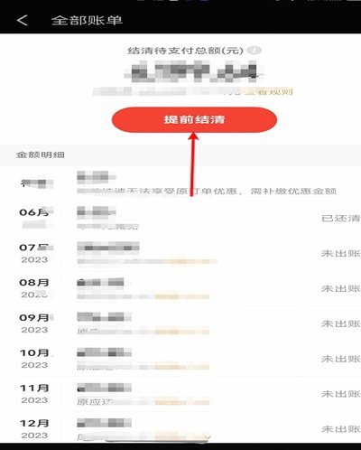 如何快速查询白条平台还款记录？