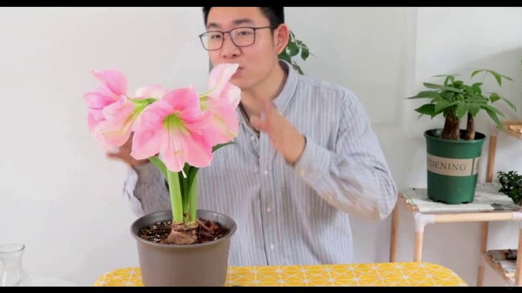 如何将拿去花换成现金？