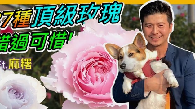 携程“拿去花”：真的能套现吗？