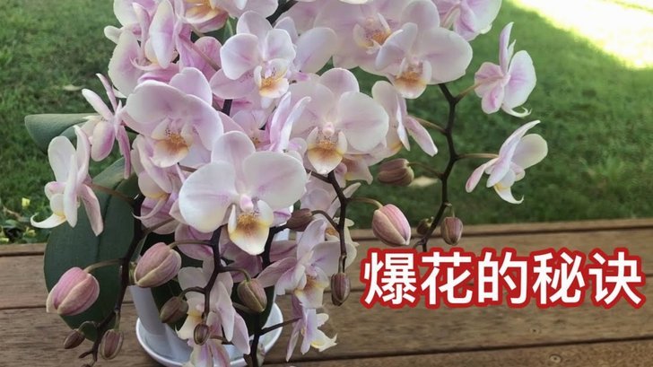 携程拿去花在哪里看得见 现金