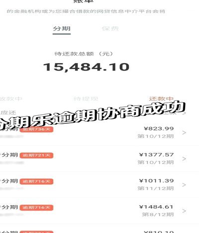 一文教你看懂分期乐借款总额