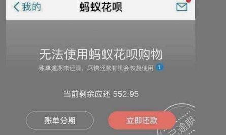 花呗还清后最快恢复技巧