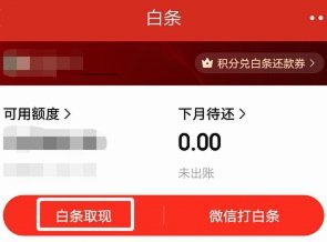 白条取出额度商家能看见吗安全吗