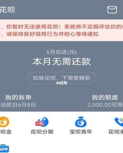 花呗用户使用遇阻，困境显现